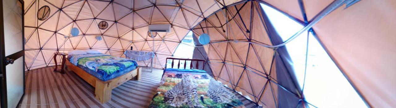 Campismo de Luxo Nativa Whale Domes *