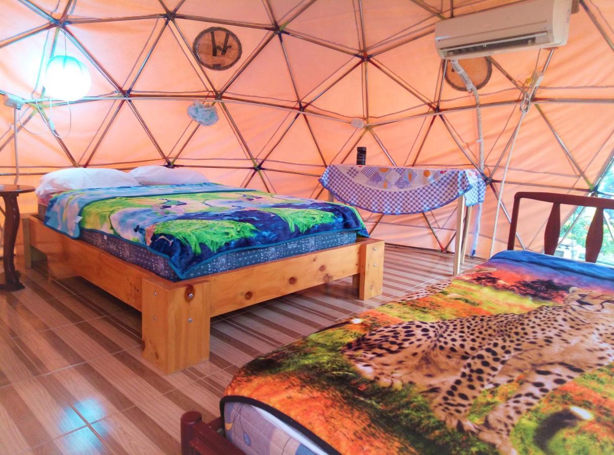Campismo de Luxo Nativa Whale Domes *